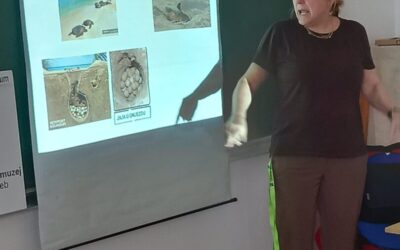 Festival znanosti – fotografije s radionica