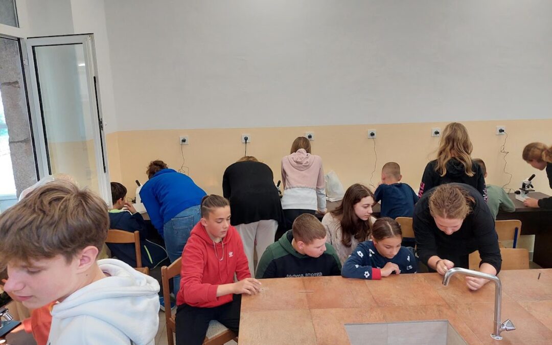 Radionica mikroskopiranja u SŠ Markantuna de Dominisa Rab