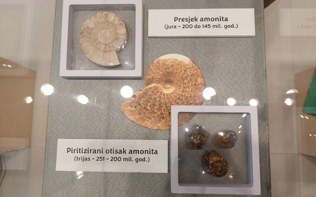 Izložba „Fosili na drugi način – Dodirni me, zagrli me, upoznaj me“