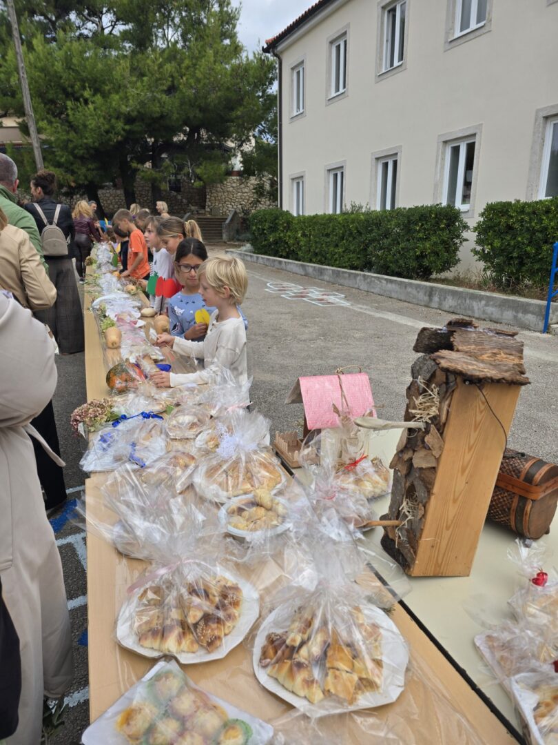 viber_slika_2025-10-30_15-44-34-558