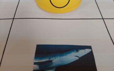 Nastavljamo s projektom “Umrežimo s(v)e”