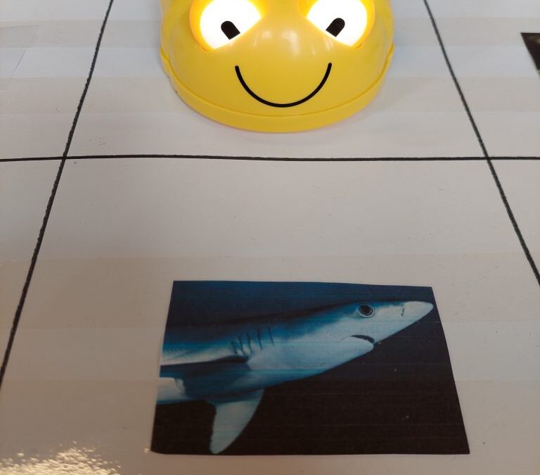 Nastavljamo s projektom “Umrežimo s(v)e”