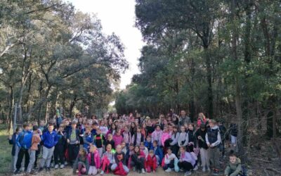 Obilježavanje Svjetskog dana šuma